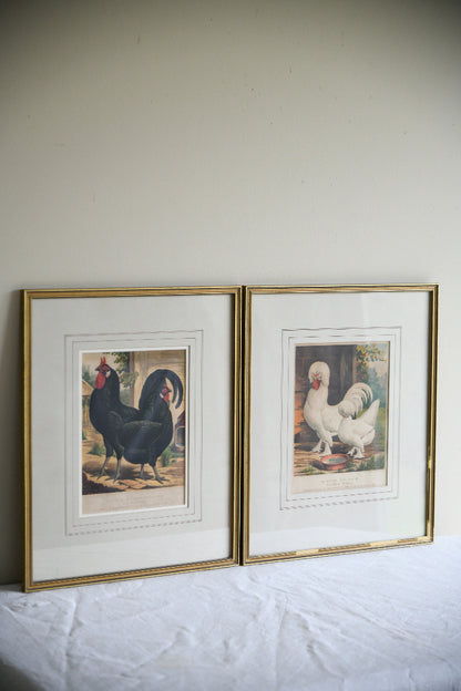 Pair of 19th Century Poultry Colour Lithographs