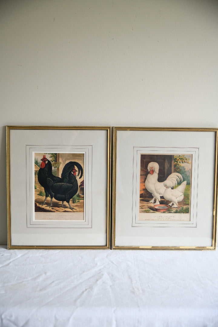 Pair of 19th Century Poultry Colour Lithographs