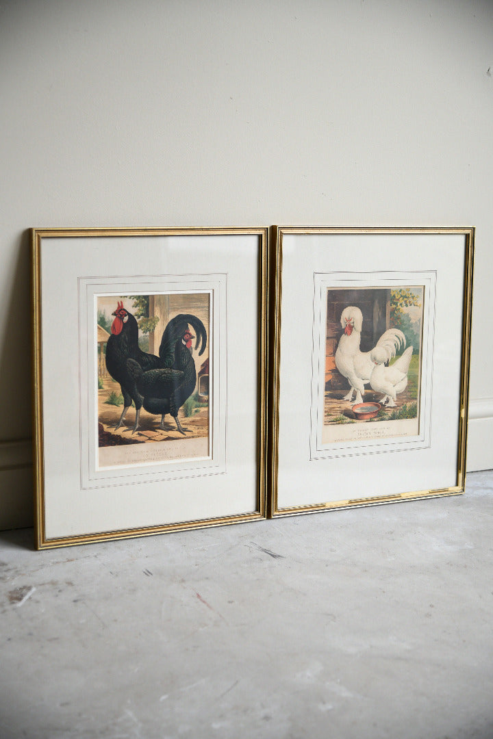 Pair of 19th Century Poultry Colour Lithographs