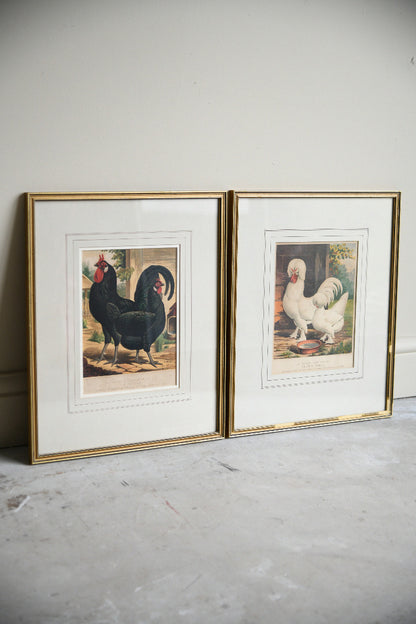 Pair of 19th Century Poultry Colour Lithographs