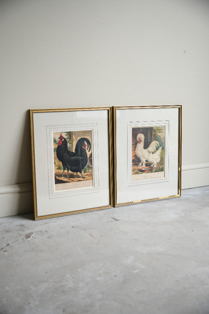 Pair of 19th Century Poultry Colour Lithographs