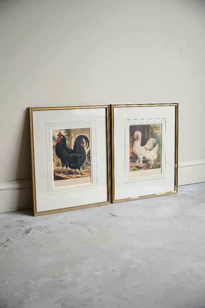 Pair of 19th Century Poultry Colour Lithographs
