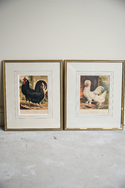 Pair of 19th Century Poultry Colour Lithographs