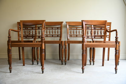 Set of Six Anglo Indian Style Cane Dining Chairs 4 Chairs & 2 Carvers