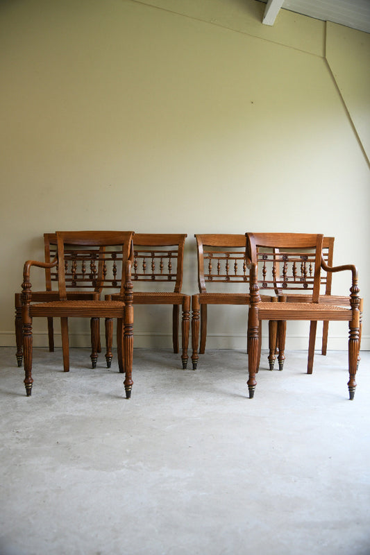 Set of Six Anglo Indian Style Cane Dining Chairs 4 Chairs & 2 Carvers