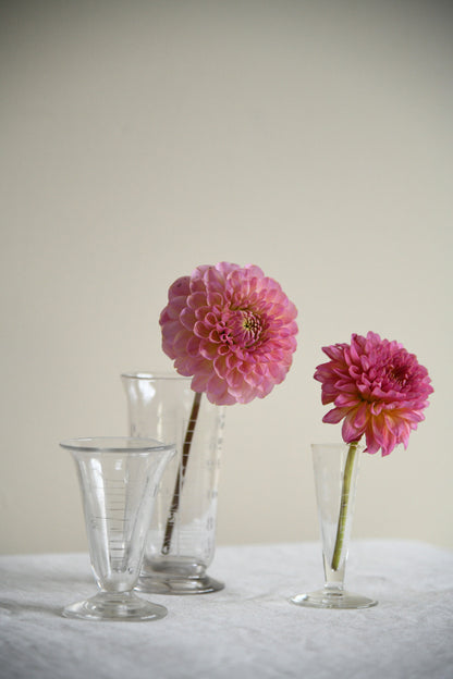 Vintage Chemist's Etched Glass Measures