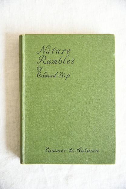 Nature Rambles: Summer to Autumn by Edward Step