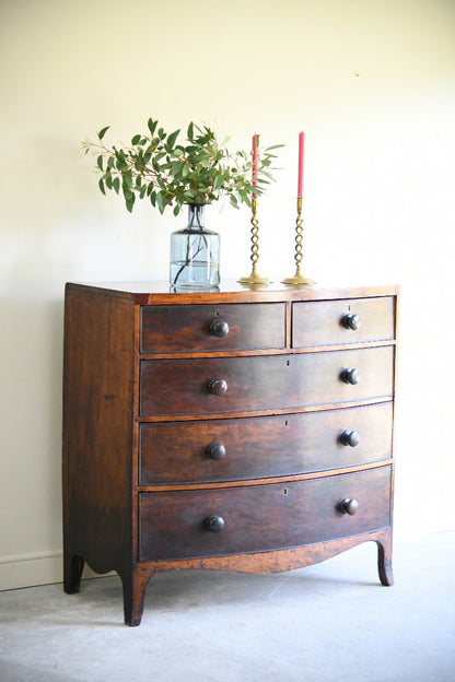 19th Century Mahogany Bow Front Chest of Drawers
