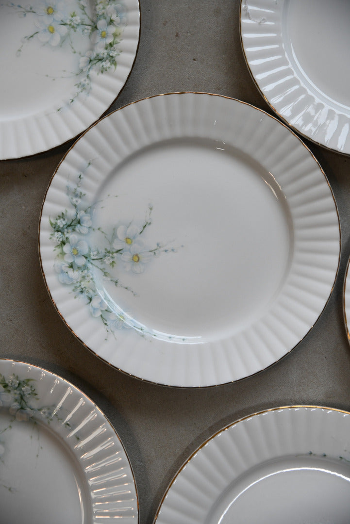 8 Royal Stafford Blossom China Dinner Plates