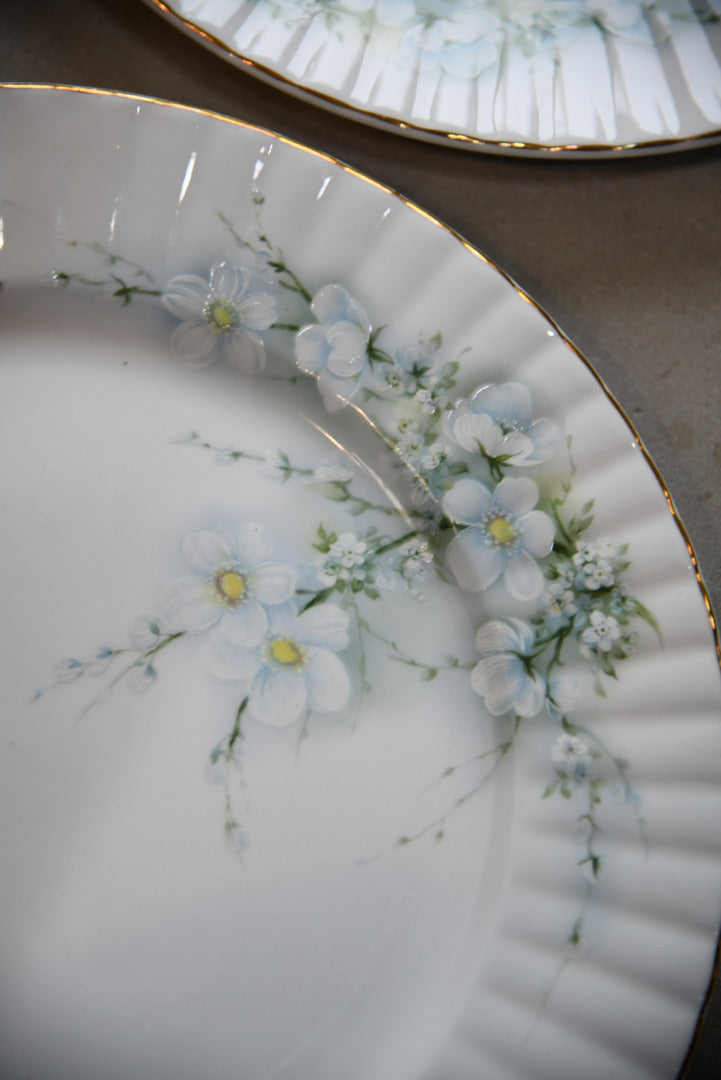 8 Royal Stafford Blossom China Dinner Plates