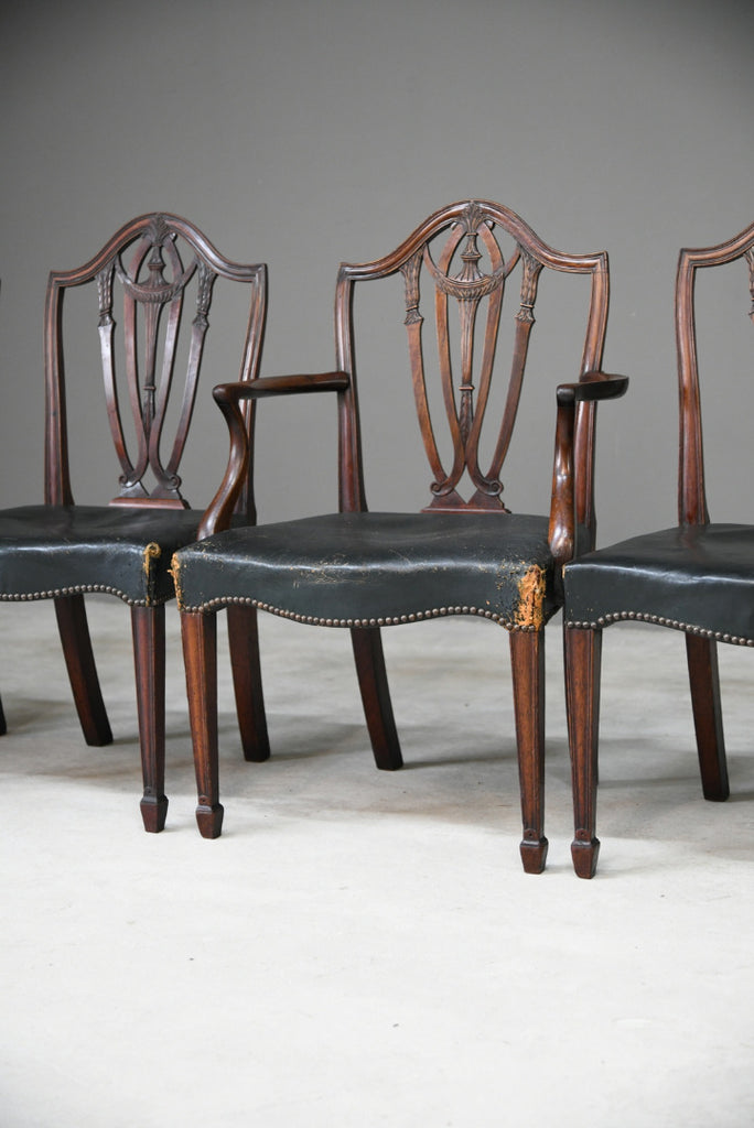 5 Hepplewhite Style Antique Mahogany Dining Chairs
