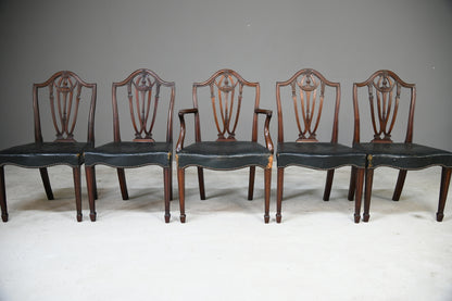 5 Hepplewhite Style Antique Mahogany Dining Chairs