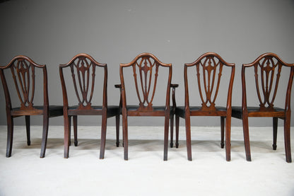 5 Hepplewhite Style Antique Mahogany Dining Chairs