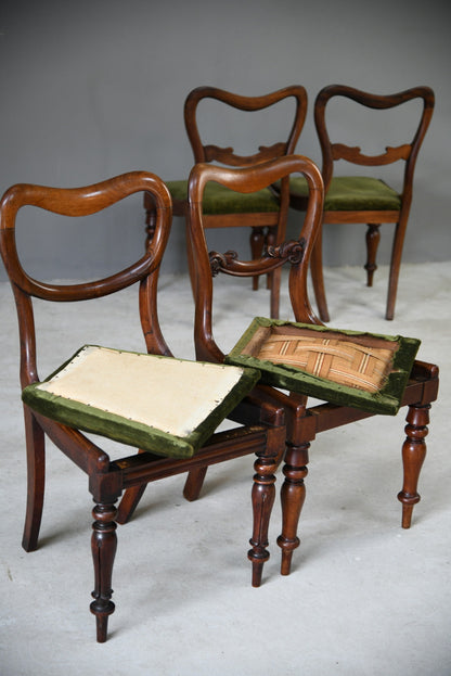 6 Harlequin Victorian Rosewood Dining Chairs