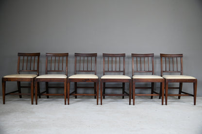 6 Georgian Mahogany Dining Chairs