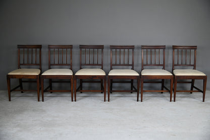 6 Georgian Mahogany Dining Chairs