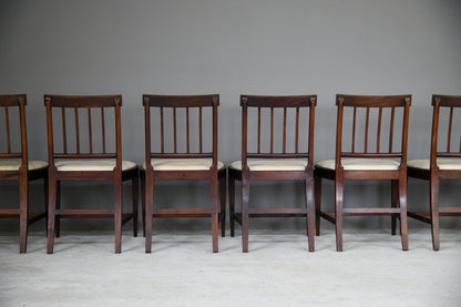 6 Georgian Mahogany Dining Chairs