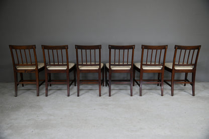 6 Georgian Mahogany Dining Chairs