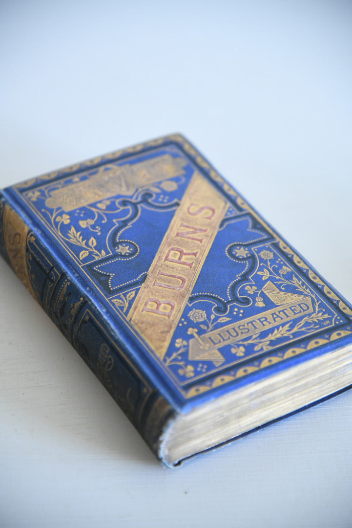 The Poetical Works of Robert Burns