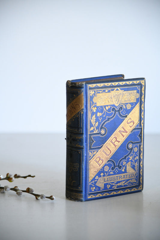 The Poetical Works of Robert Burns