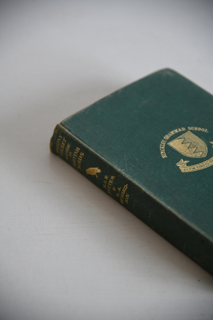 Vintage Collins Guide To British Birds