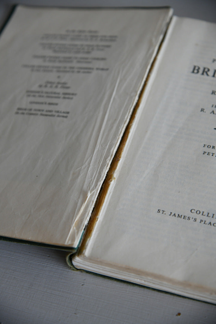 Vintage Collins Guide To British Birds