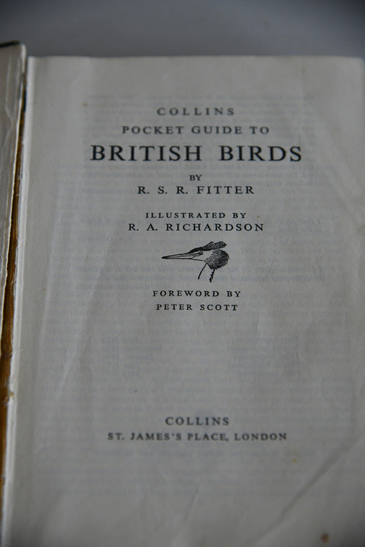 Vintage Collins Guide To British Birds