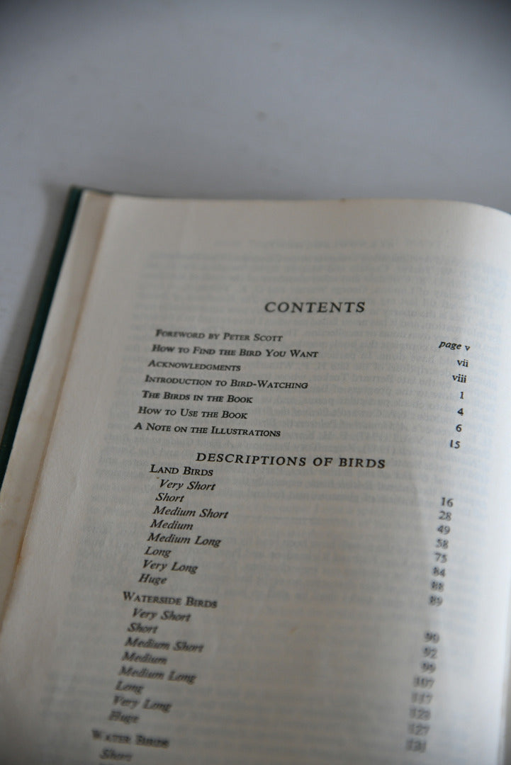 Vintage Collins Guide To British Birds