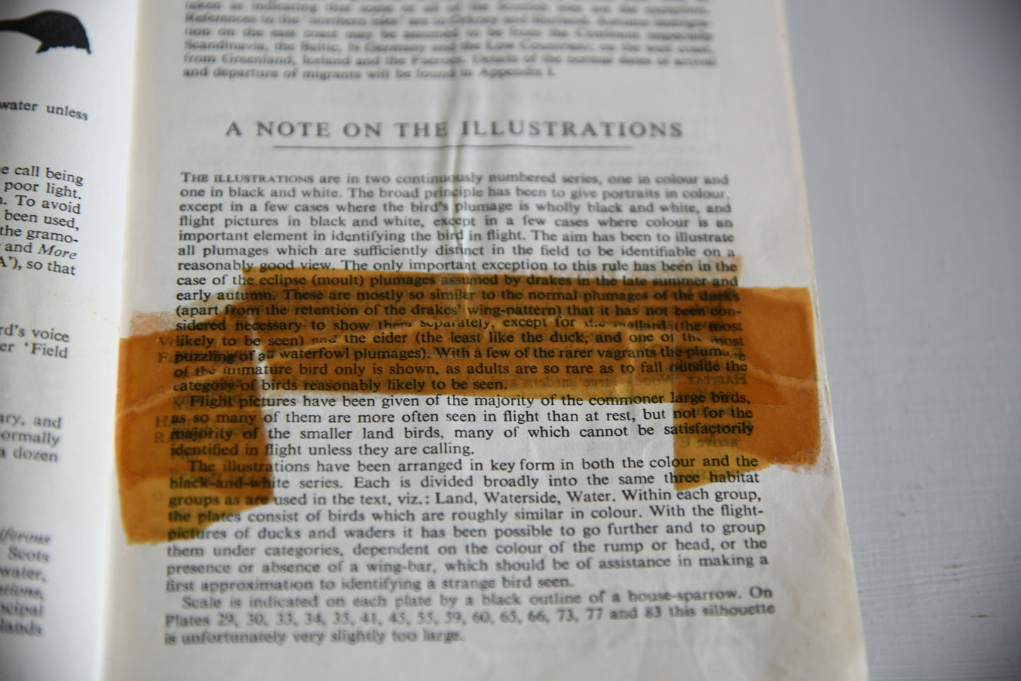 Vintage Collins Guide To British Birds