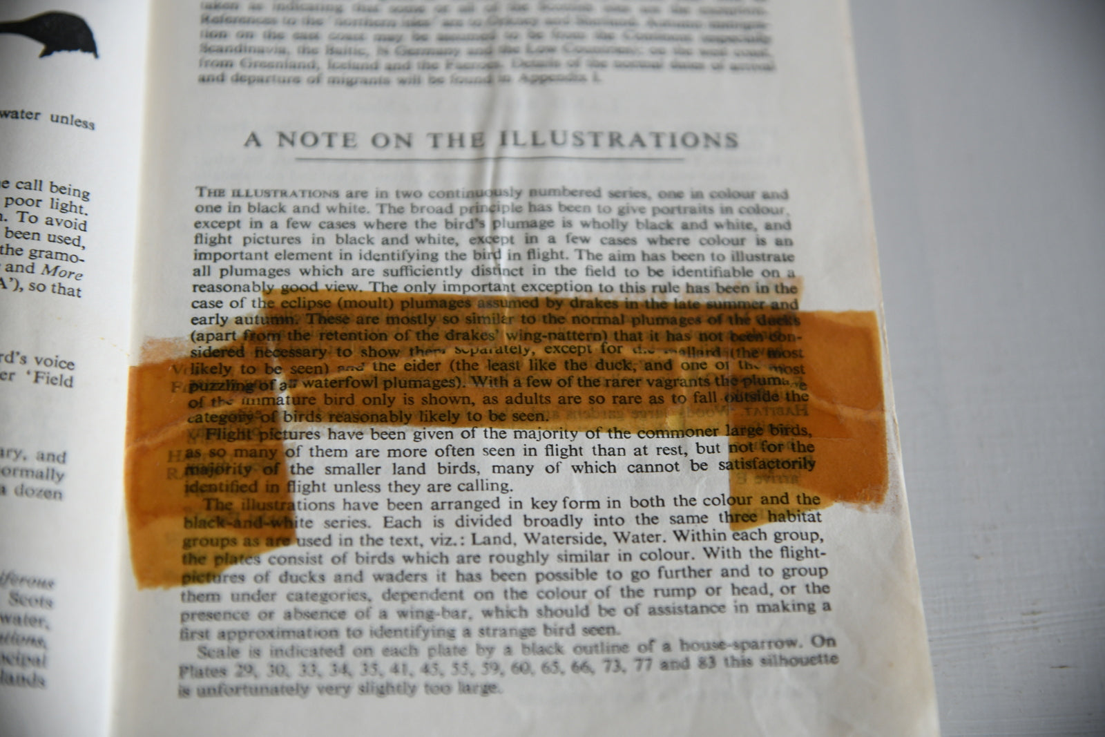 Vintage Collins Guide To British Birds