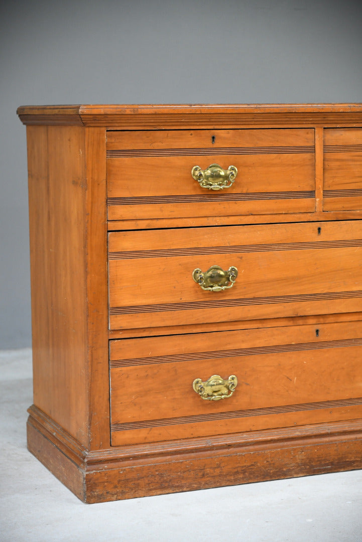 Edwardian Satin Walnut Chest of Drawers