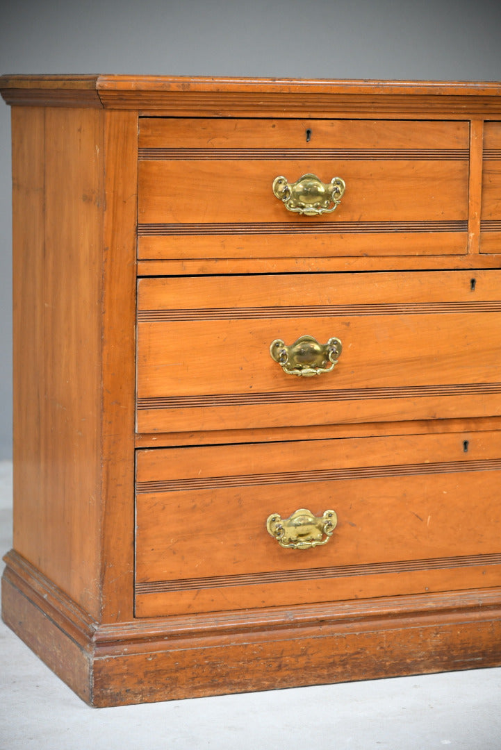 Edwardian Satin Walnut Chest of Drawers