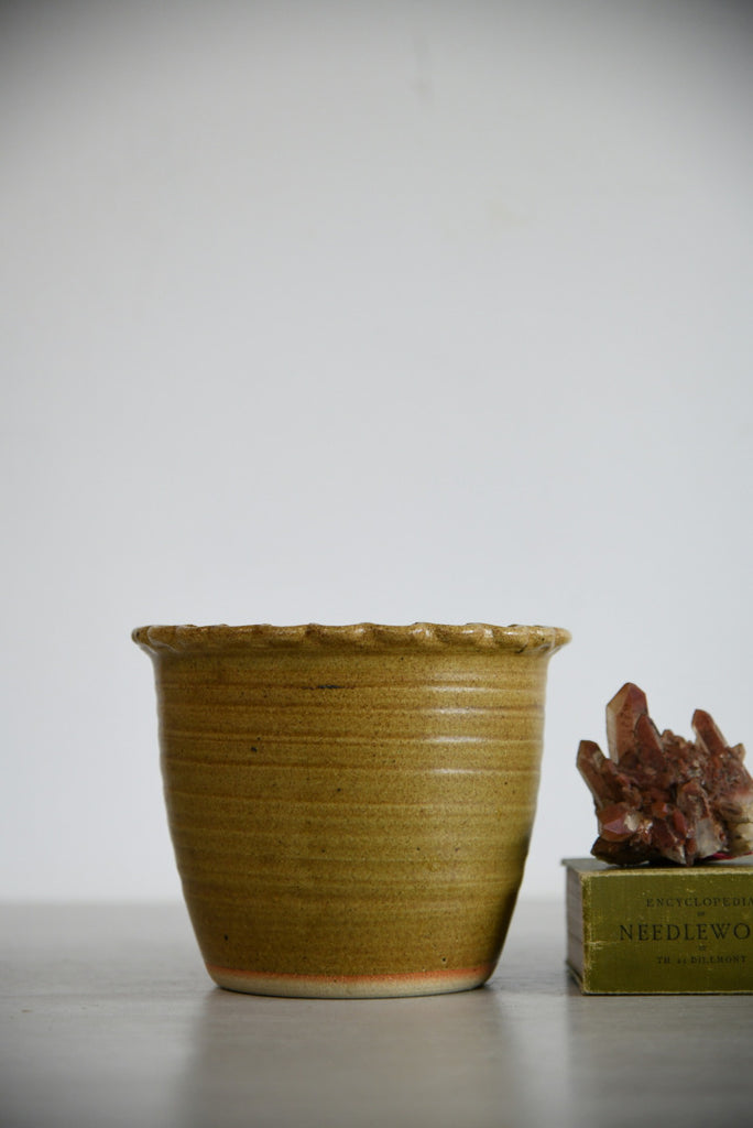 Cornish Pottery Plant Pot