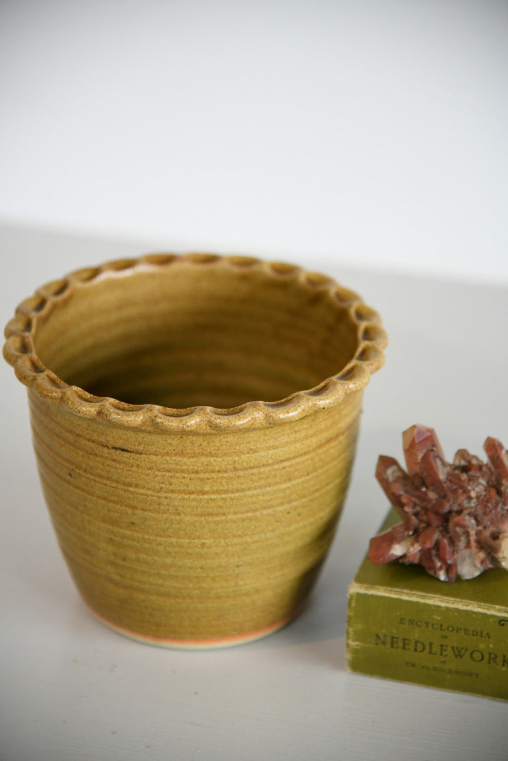 Cornish Pottery Plant Pot