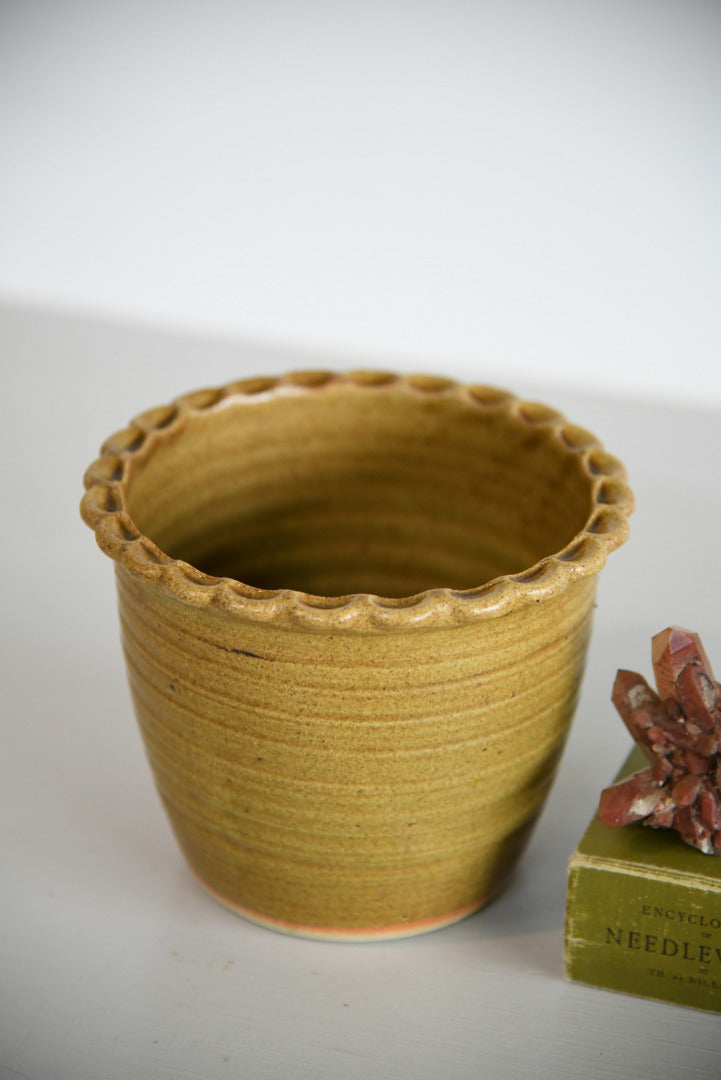 Cornish Pottery Plant Pot