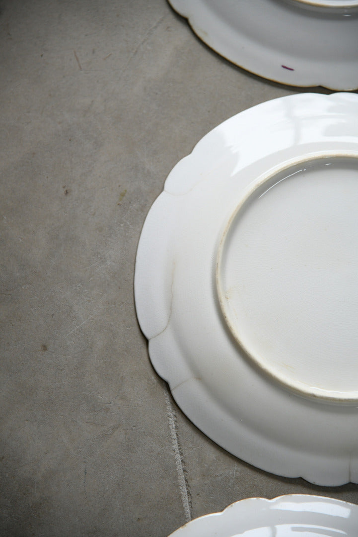 6 Vintage Leaf Plates