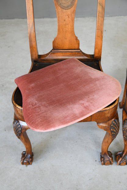 4 Antique Queen Anne Style Walnut & Oyster Veneer Dining Chairs