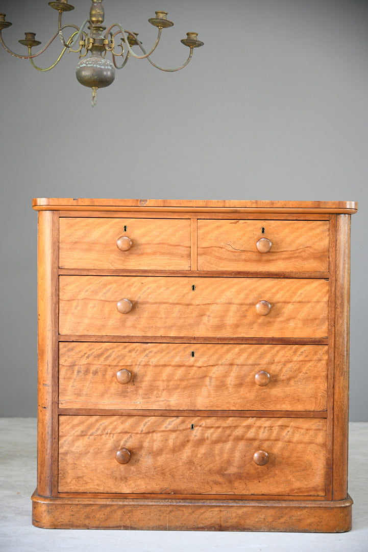 Victorian Satin Birch Chest of Drawers