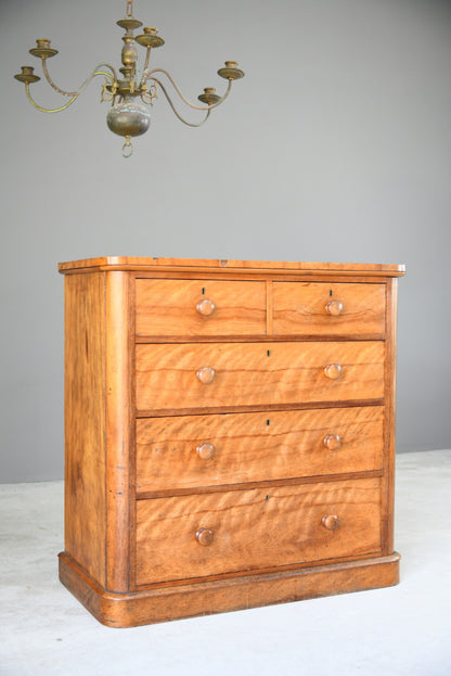 Victorian Satin Birch Chest of Drawers