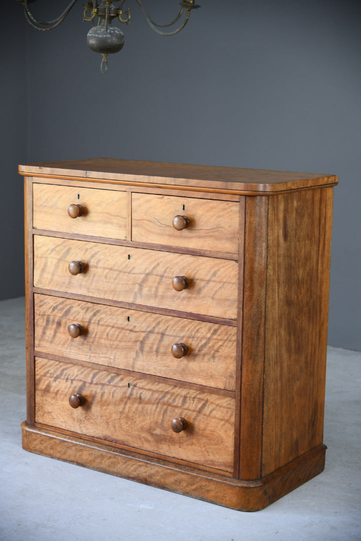 Victorian Satin Birch Chest of Drawers