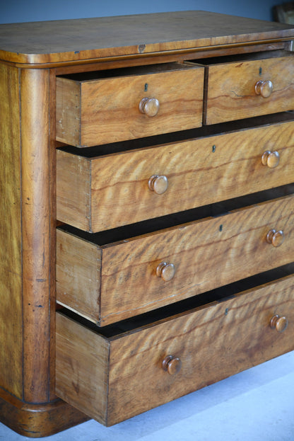 Victorian Satin Birch Chest of Drawers