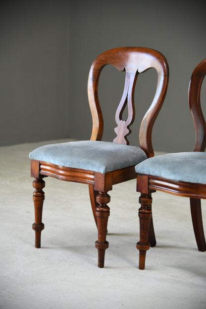 Pair Victorian Mahogany Dining Chairs