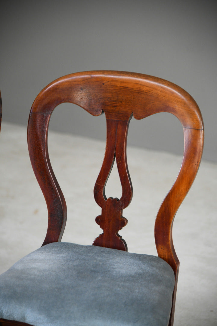 Pair Victorian Mahogany Dining Chairs