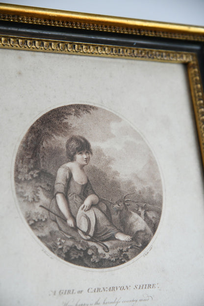 Pair of Antique Engravings