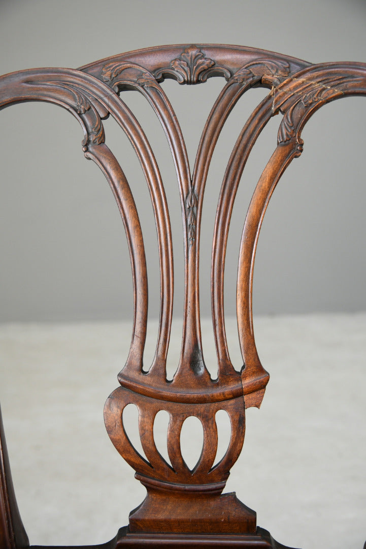 Single Georgian Mahogany Dining Chair