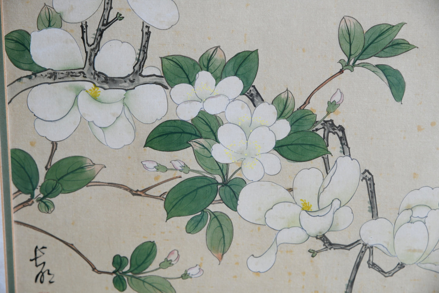 3 x Chinese Botanical Watercolours