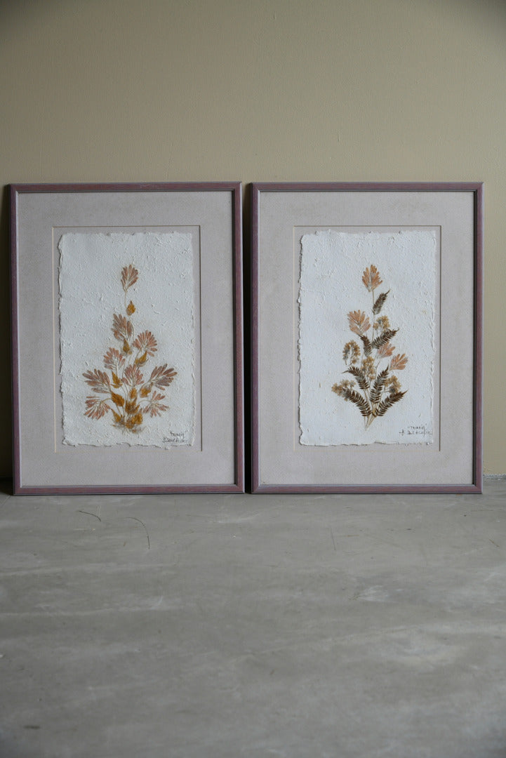 Framed Pressed Flowers