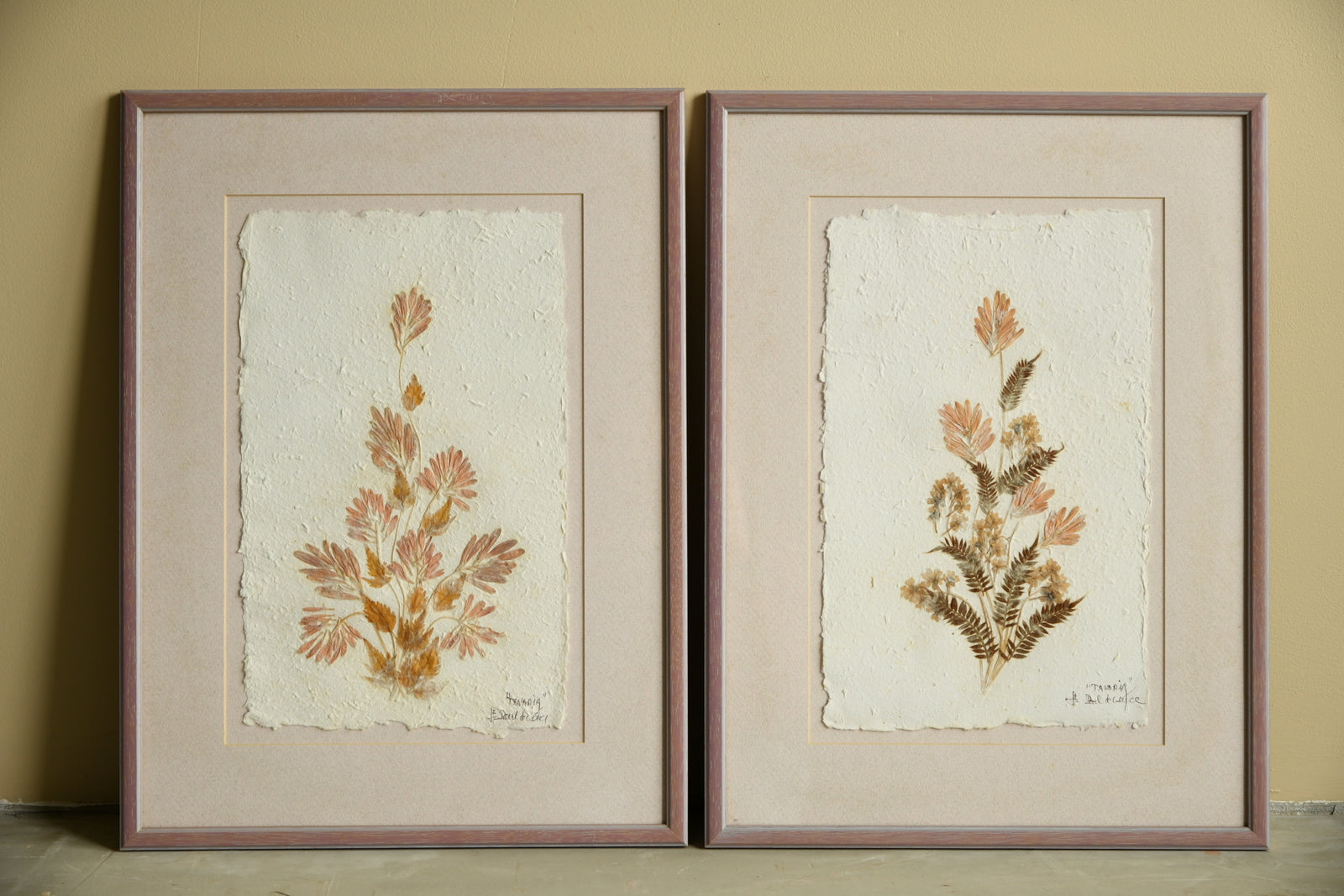 Framed Pressed Flowers