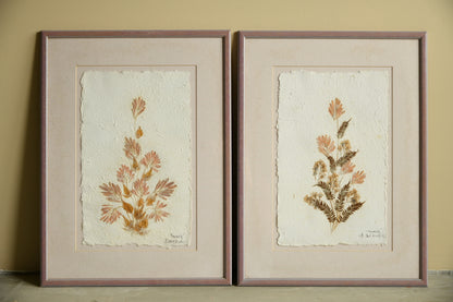 Framed Pressed Flowers