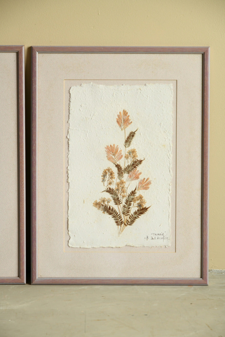 Framed Pressed Flowers